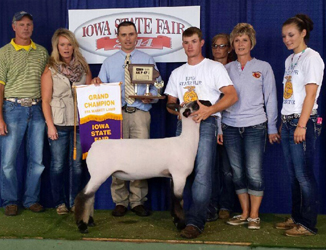 Shroyer ShowStock